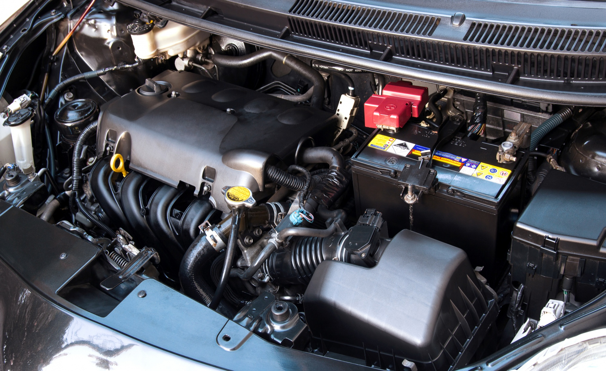 Alternator and Starter